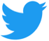 twitter logo