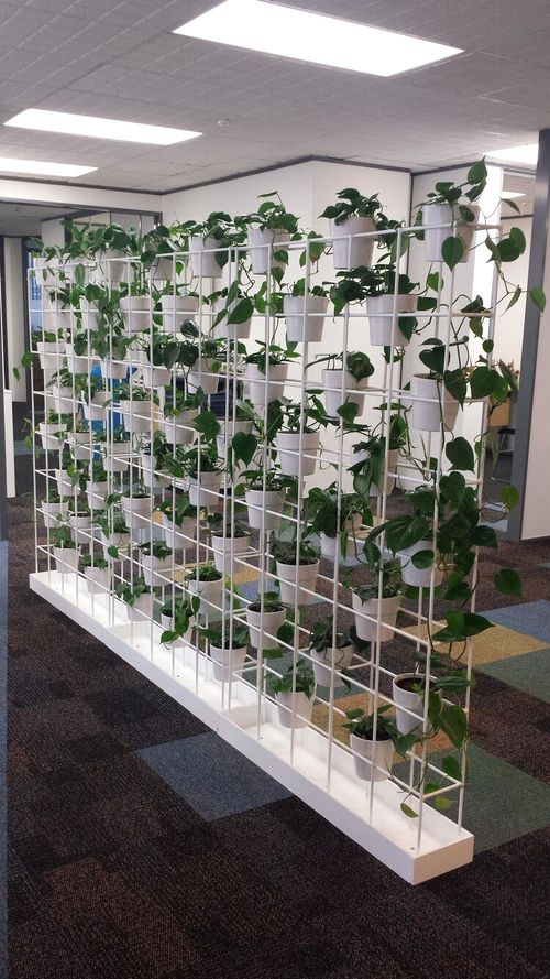 Feature Plant Wall Room Divider SmartSpace
