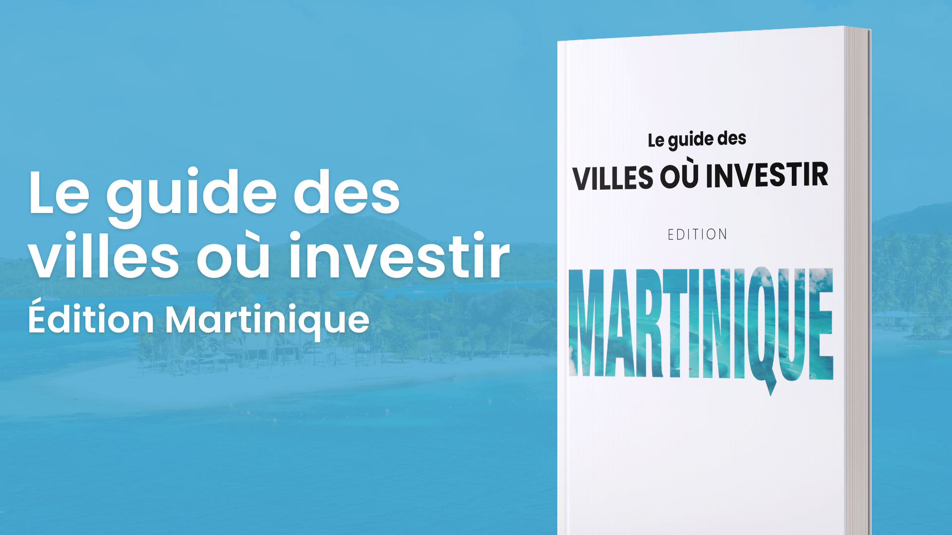 Guide Des Villes Rentables Edition Martinique