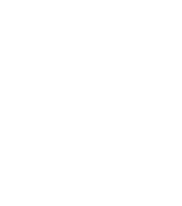 Stilisierte Darstellung der Landkarten von Brasilien. Der Standort der Kaffee Farm "Fazenda Da Lagoa" ist mit Längen- und Breitengrad markiert.