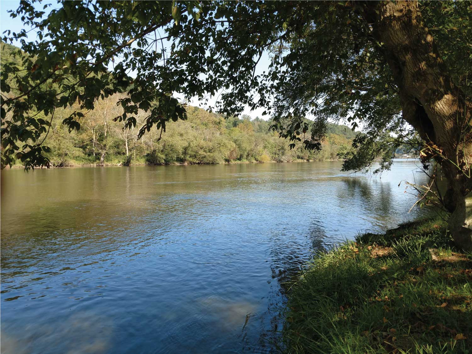 Image of the French Broad River reflecting blue sky and framed by tree branches