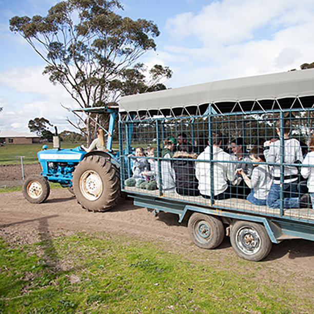 About Us Animal Land Children's Farm