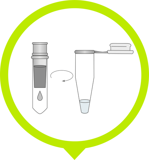smile-proteomics-sample-preparation-simplified-preomics