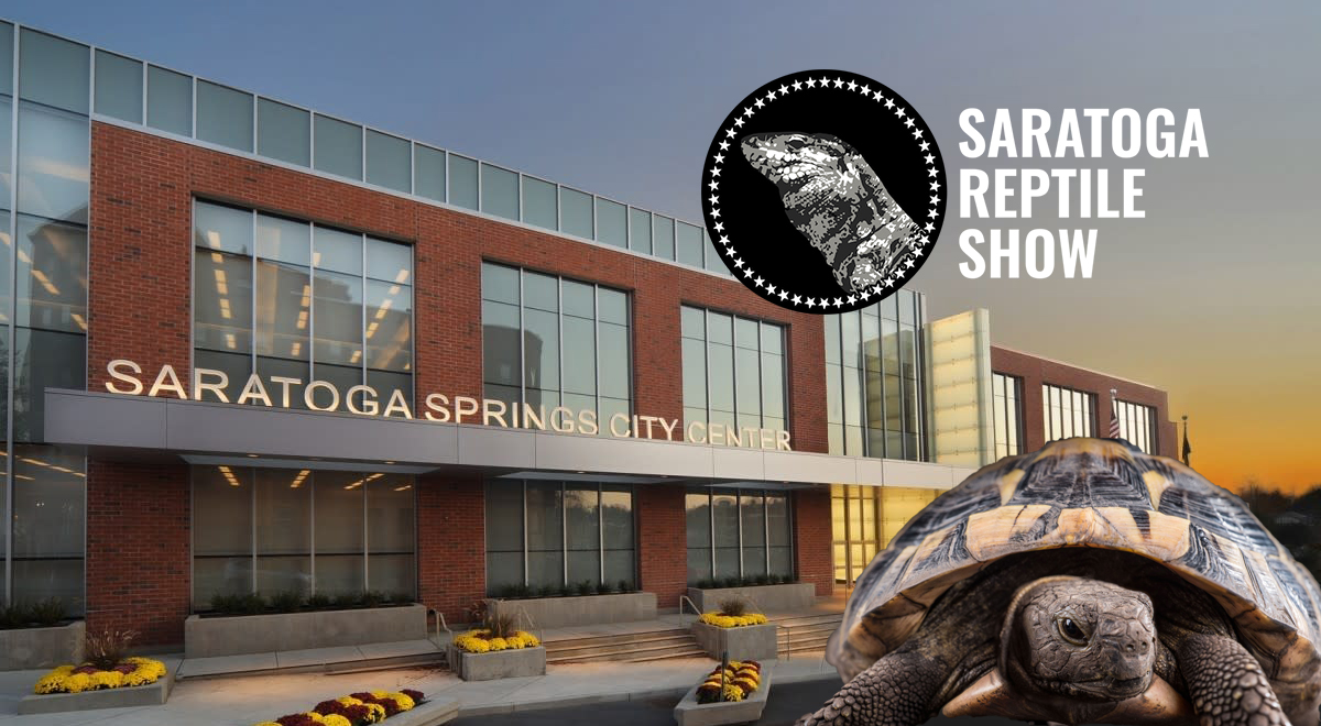 Saratoga Reptile Show | Reptile Enthusiast Expo | Saratoga City Center, NY