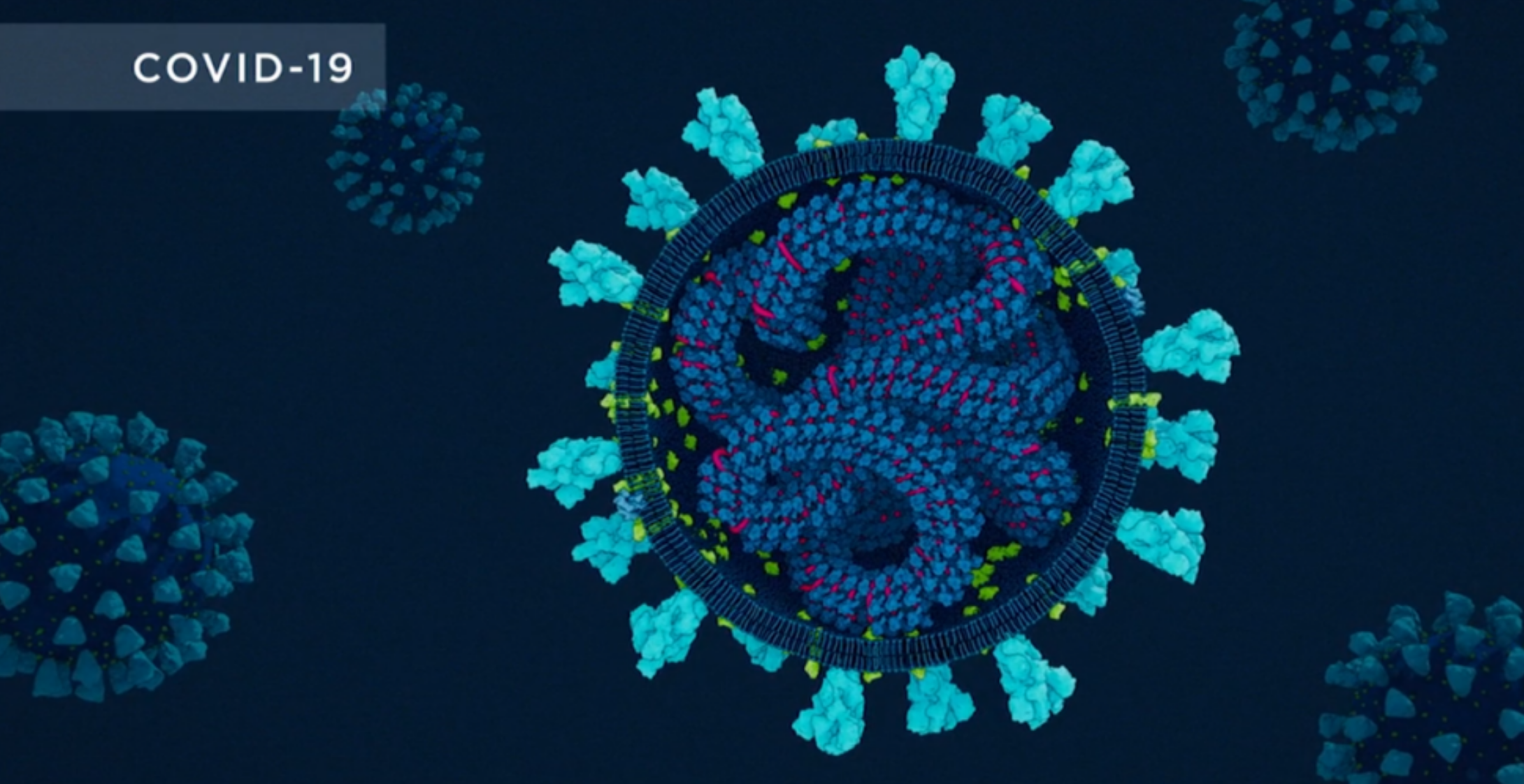Covid-19 and the Science of Soap Image