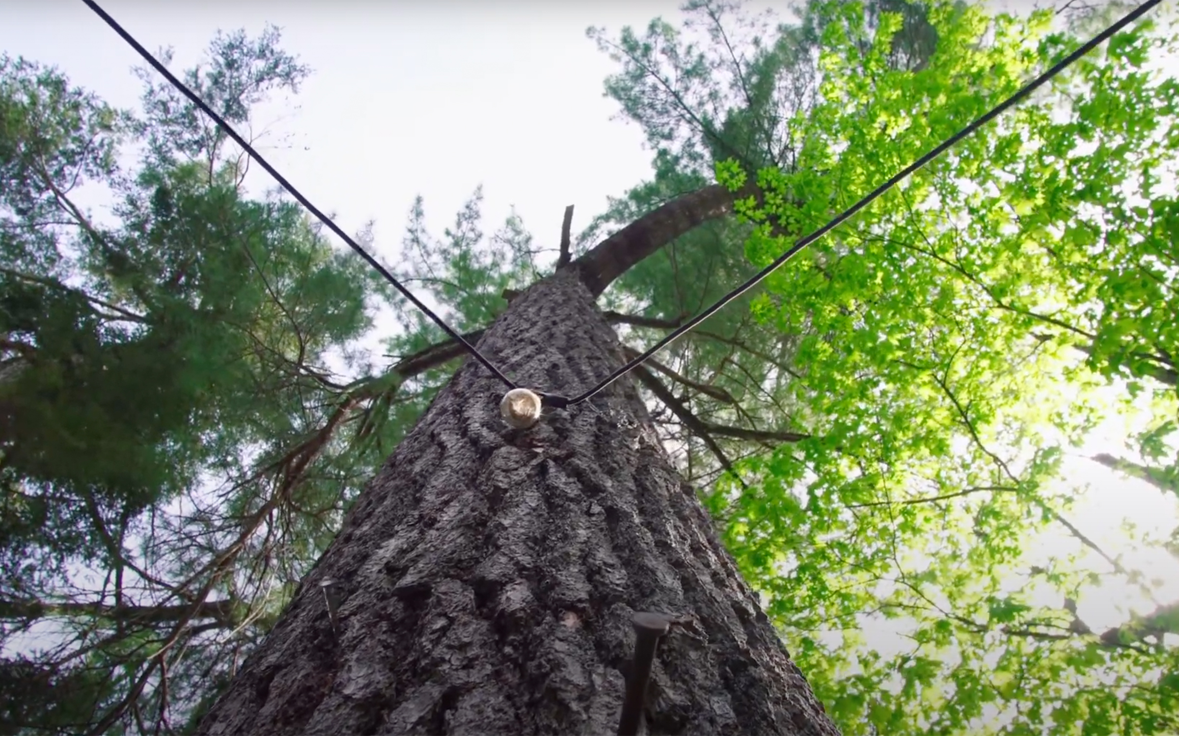 Real Estate Videography Project 'Rowan