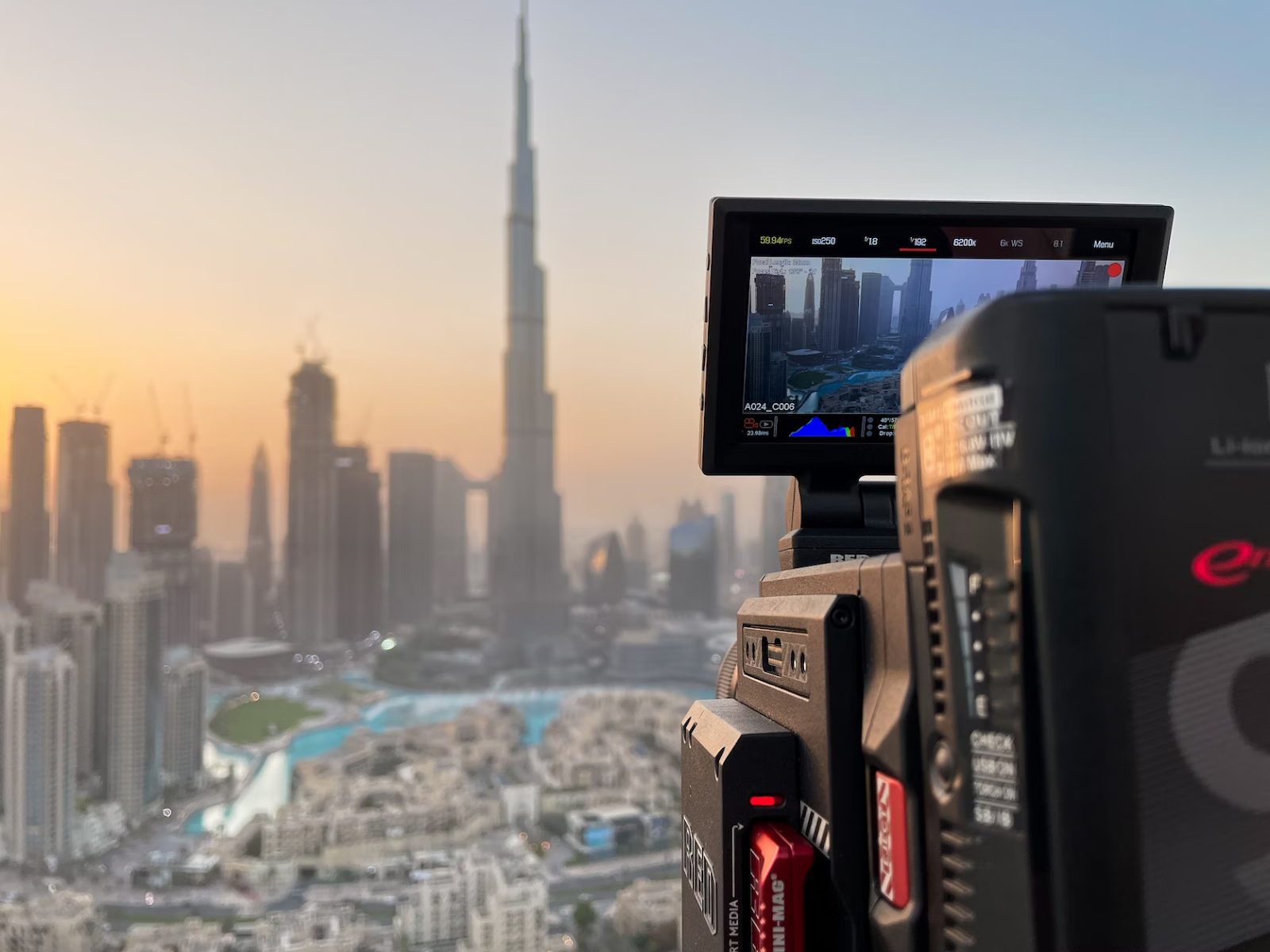 Diversity among Dubai Locals 