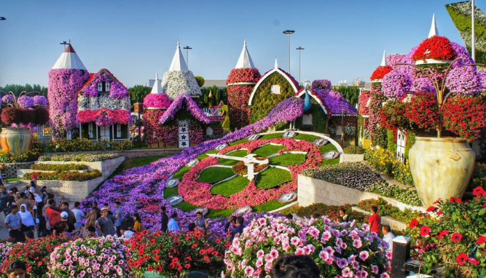 Miracle Garden picture
