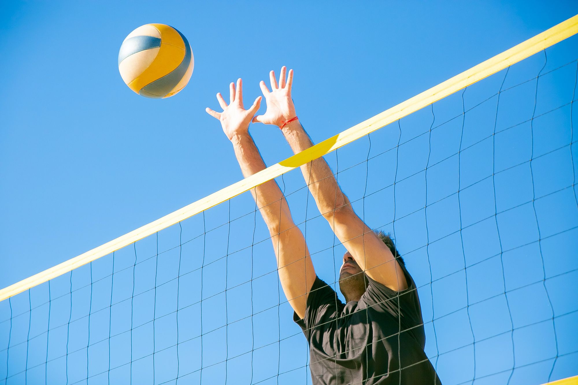 Top 10 Volleyball Courts in Toronto Javelin Sports