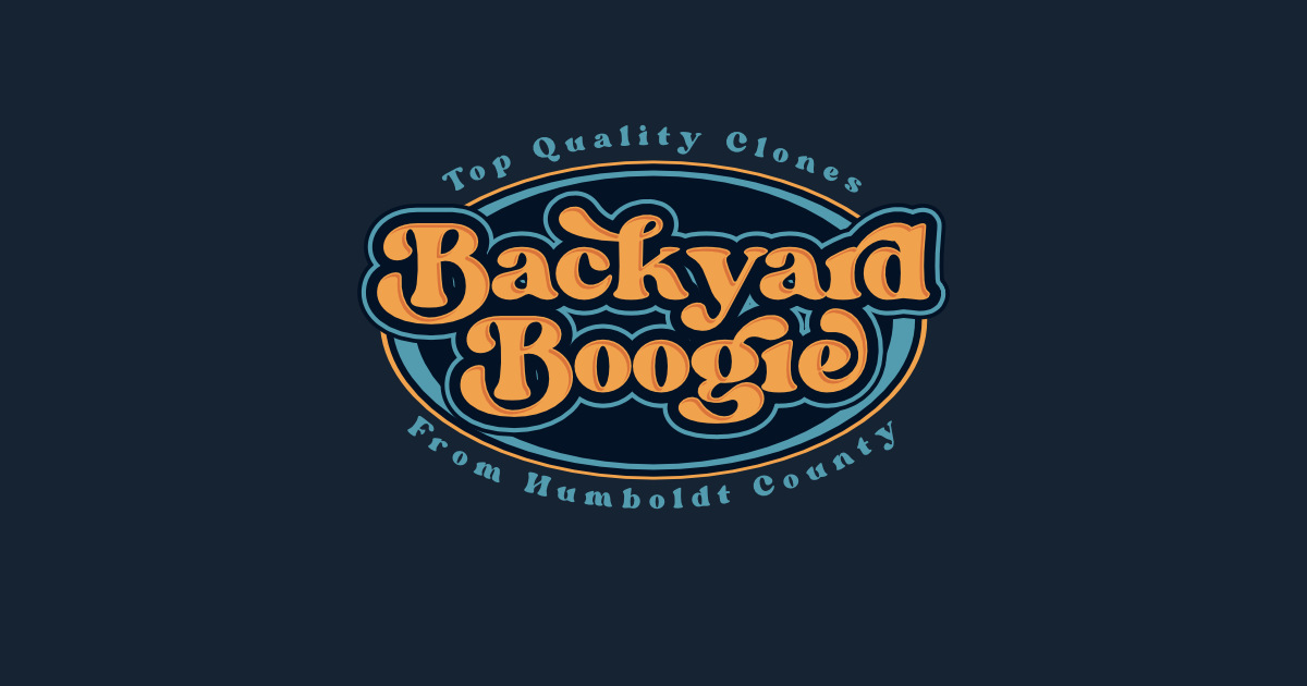 Unleash The Groove: Backyard Boogie Bliss For 100 Nights Unleash The Groove: Backyard Boogie Bliss For 100 Nights