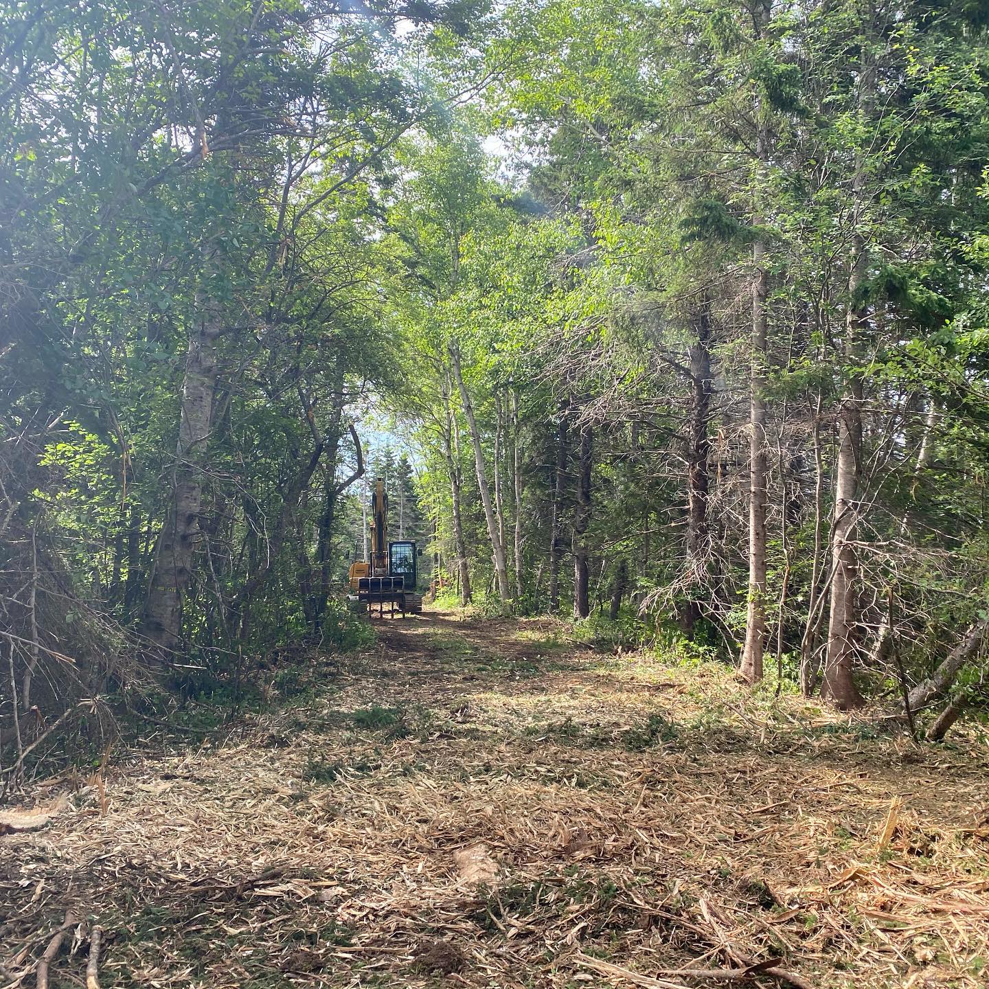 Cleared Tree Path Block Landscaping, Road Making, & Tree Clearing | McCormick Landscaping