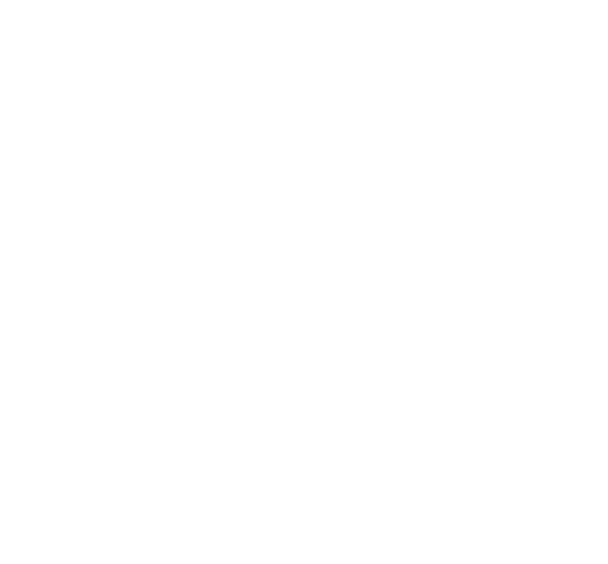 It support