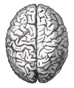 The Smarter Brain: Swapstack