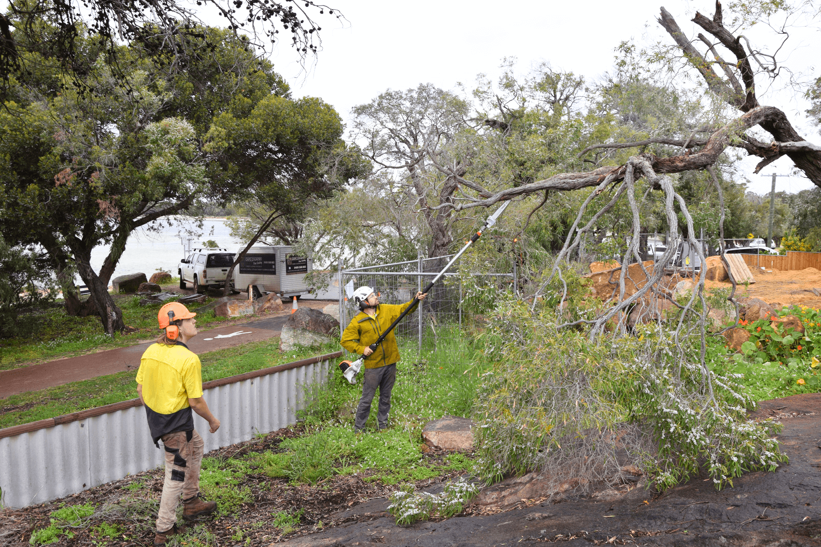Beautiful view of Local Tree Pruning And Care Services