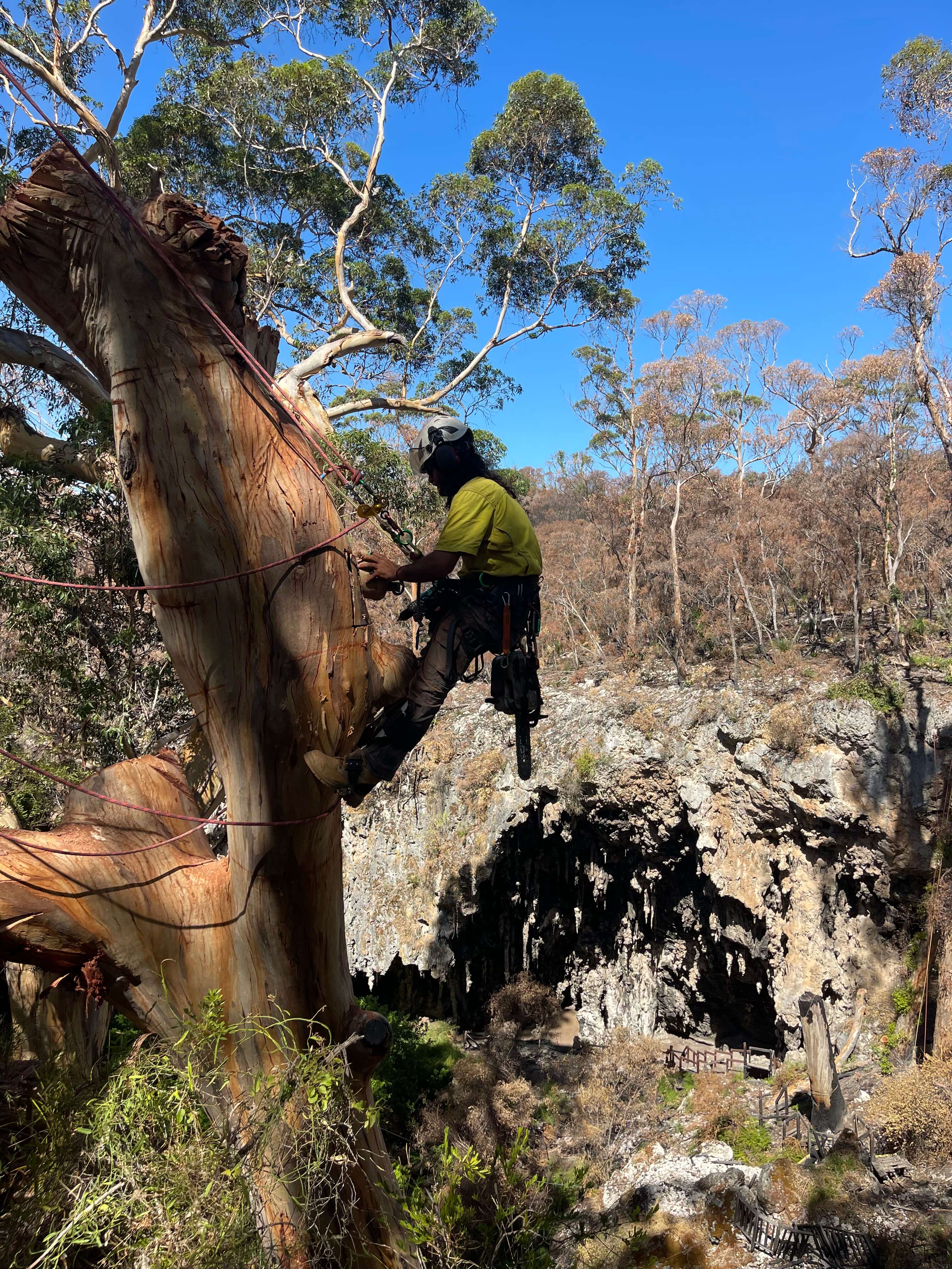 Naturaliste Tree Care | Fire Hazard Prevention