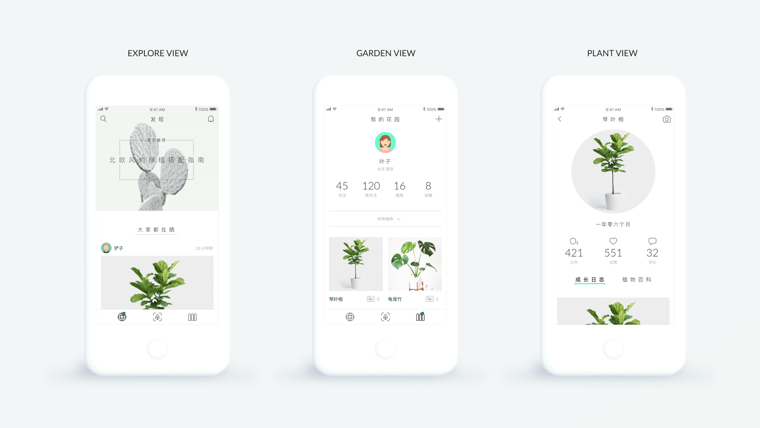 Case Study Plant Identifier App Redesign