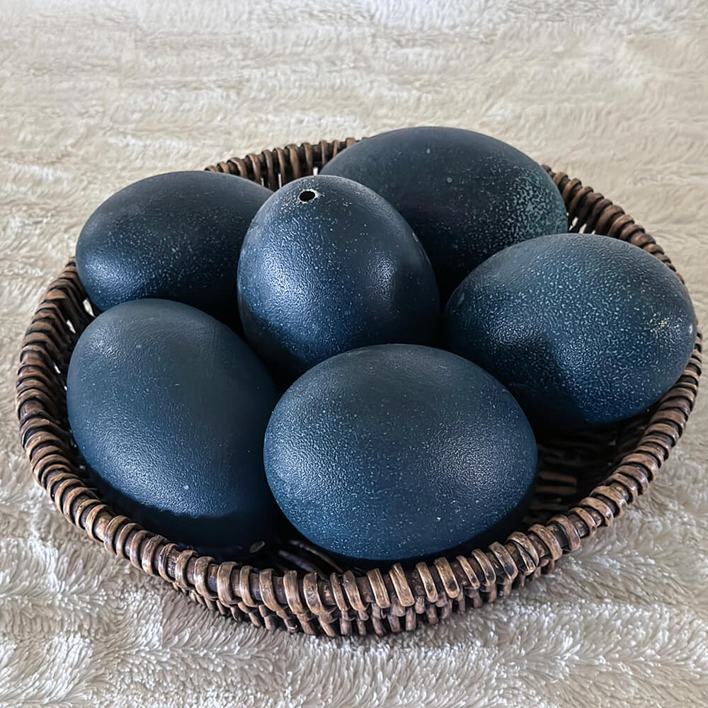 Bulk Emu Oil, Emu Meat & Emu Meat Pet Food