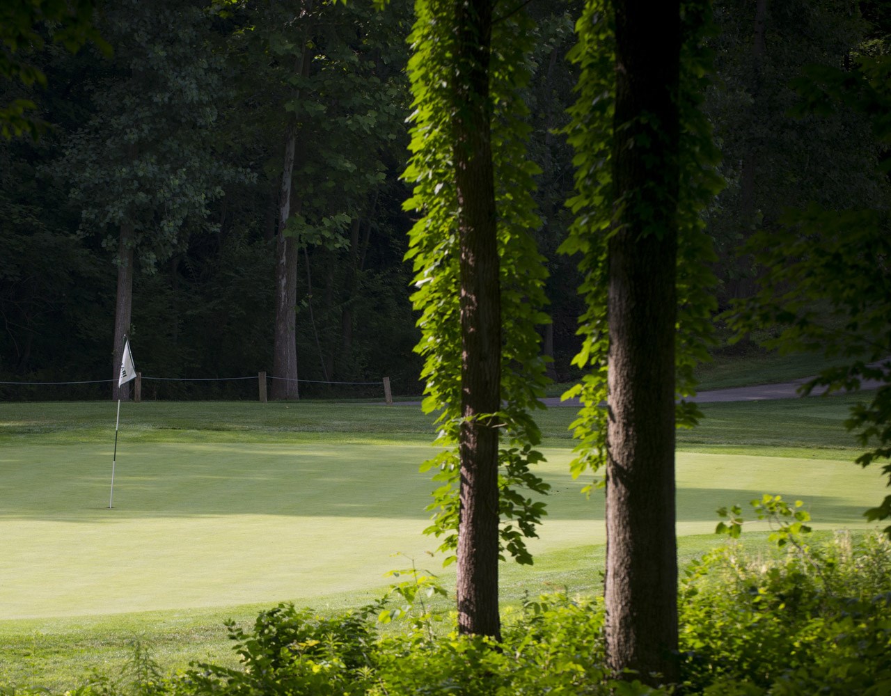 Safari Golf Club Tee Times and Reviews