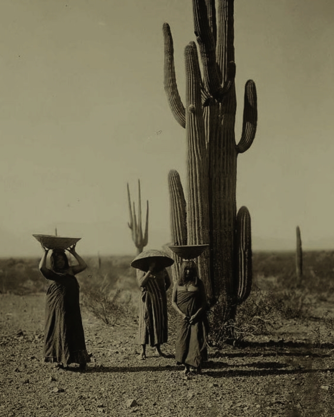 People standing in front of giant cactus