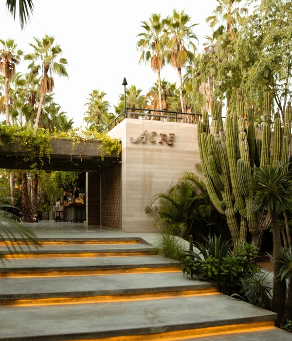 Palm trees