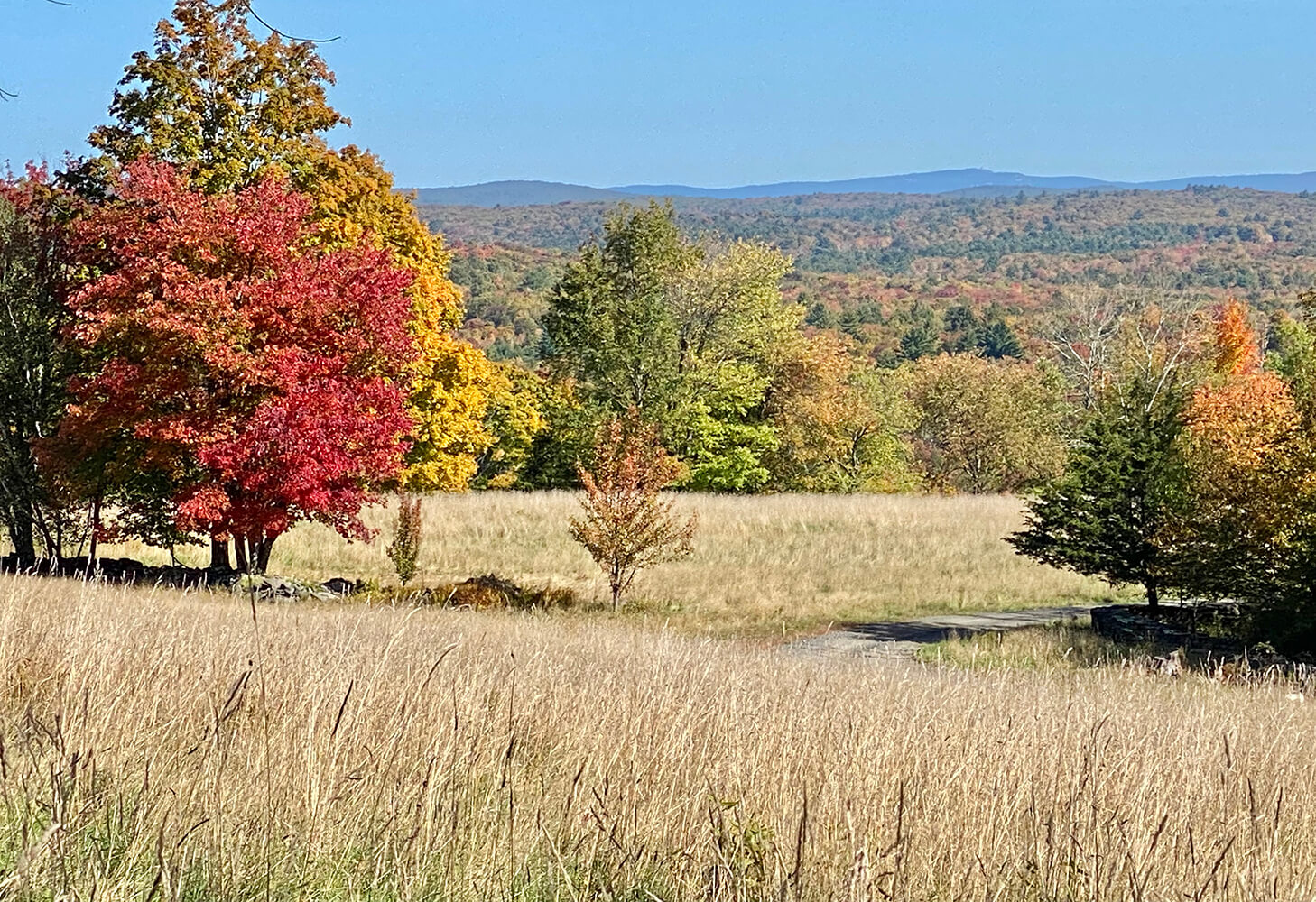 AKERA - A Generational Retreat Center - Home