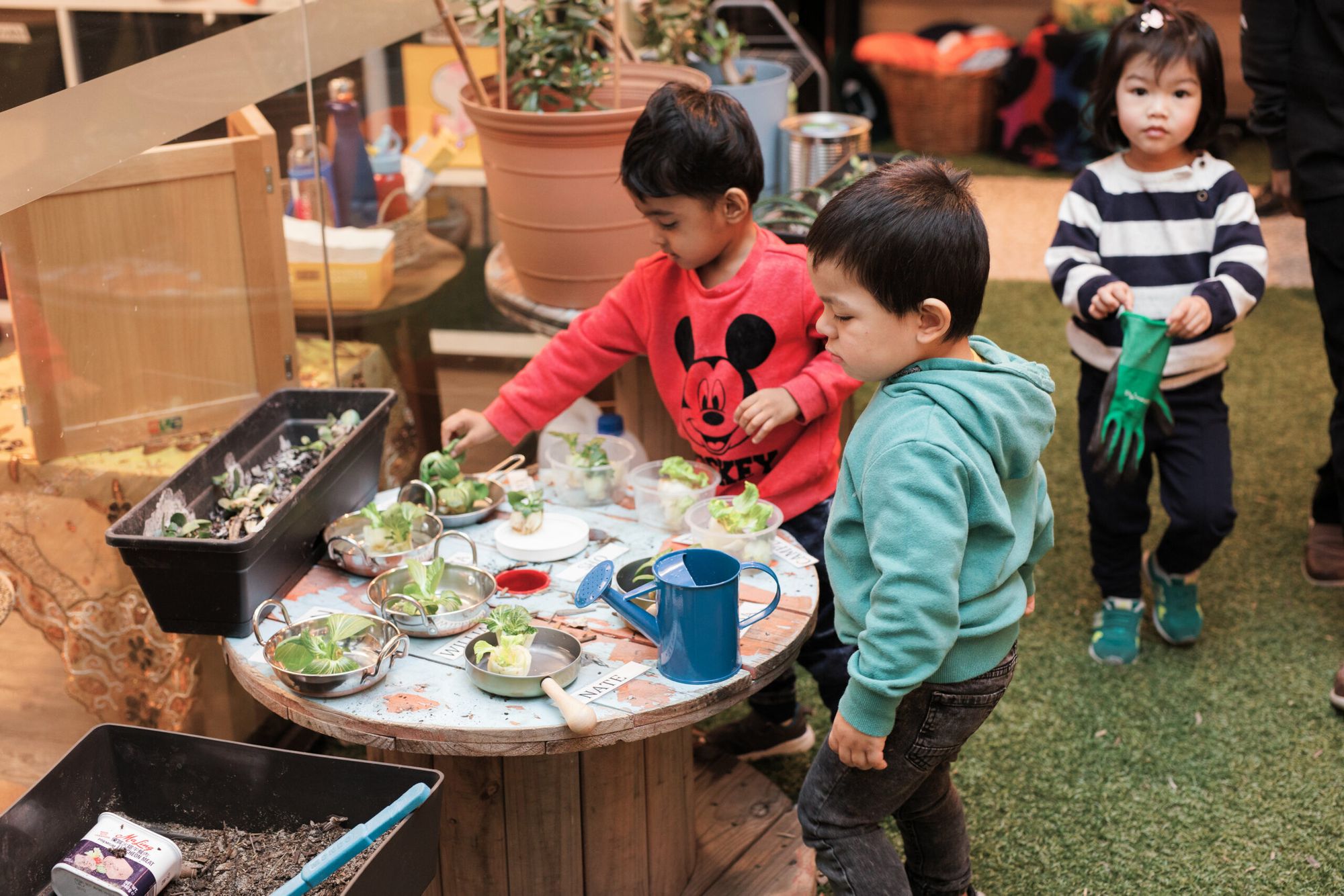 spring-activity-ideas-for-children-genius-childcare