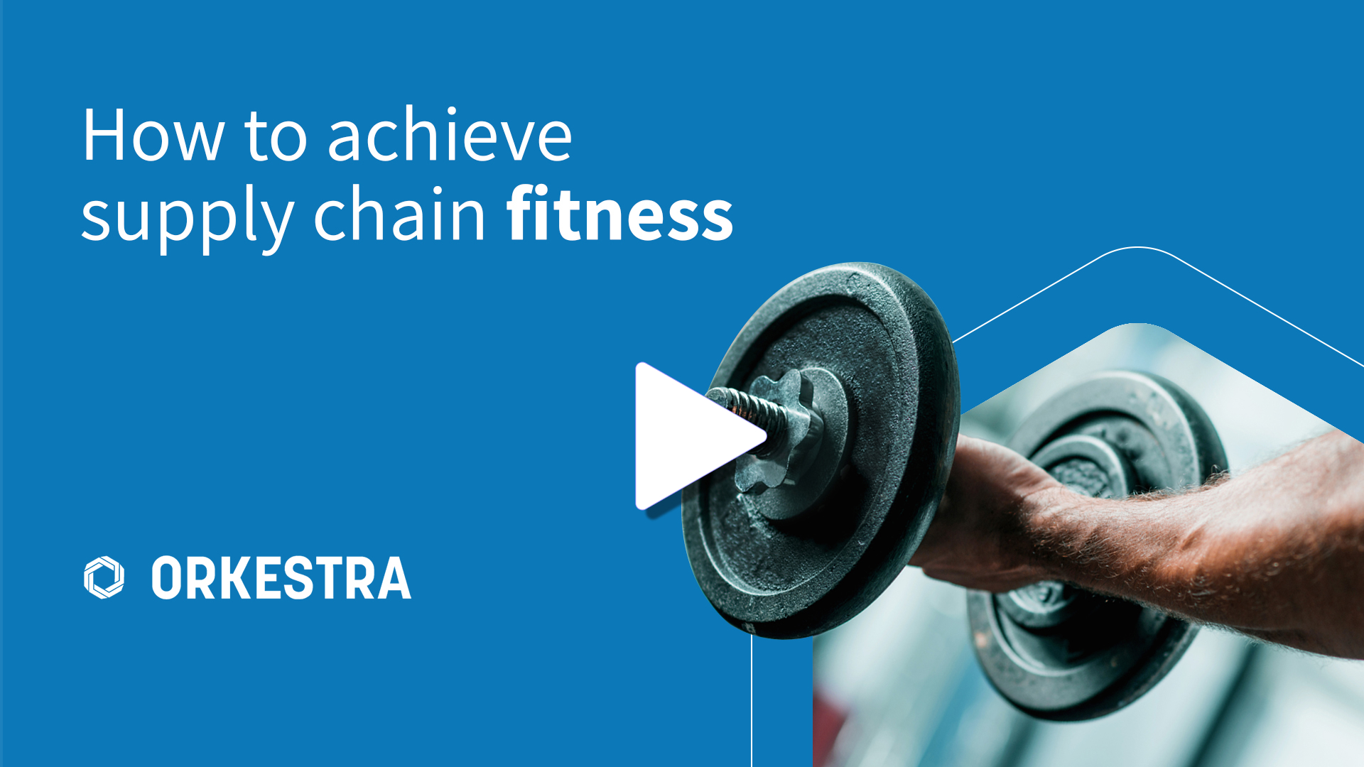 How to Achieve Supply Chain Fitness? Modern Technology and Human Capability