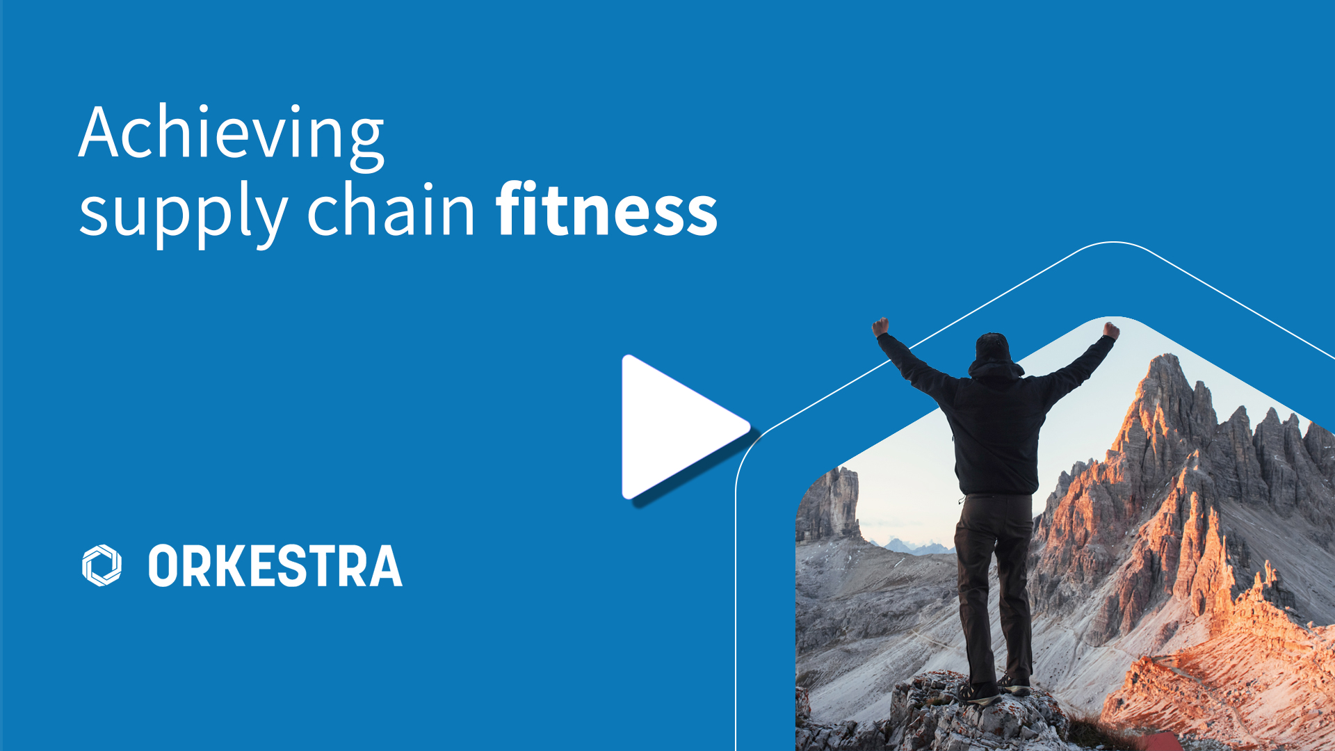 Achieving Supply Chain Fitness