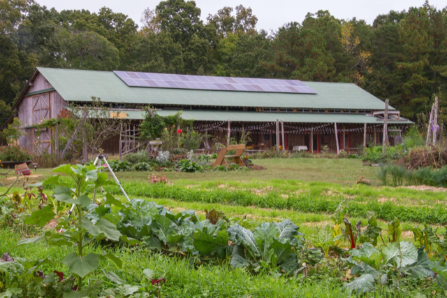 The Eco-Institute