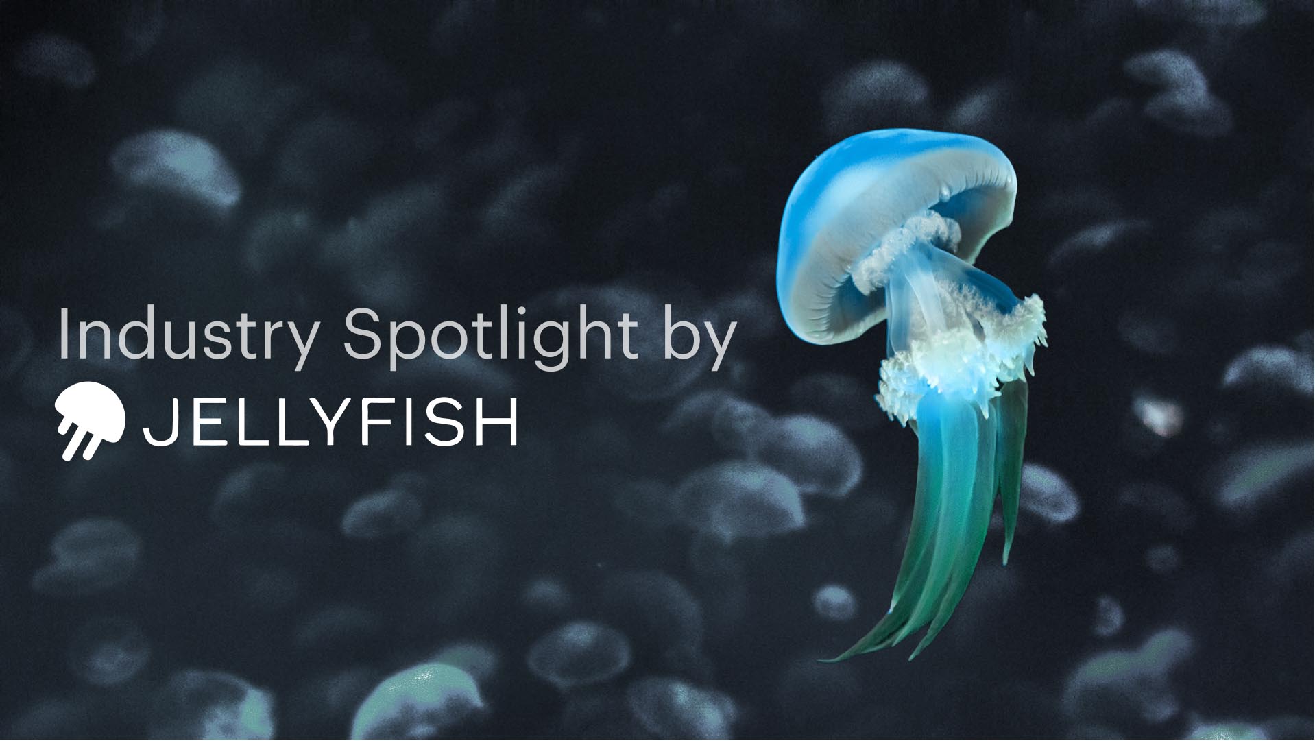 The Software R&D Capitalization Paradigm is Changing in 2023