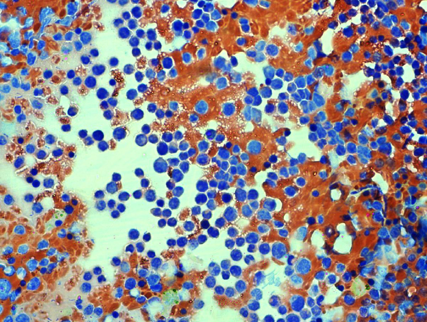 Исследования | Сертификаты