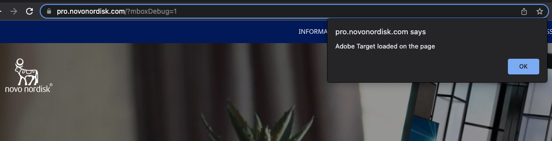 Notification on Adobe Target being loaded