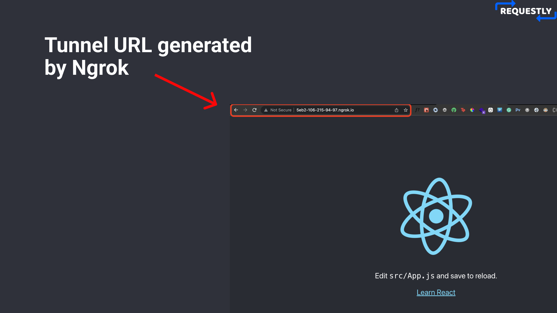 What is Ngrok and how does it work?