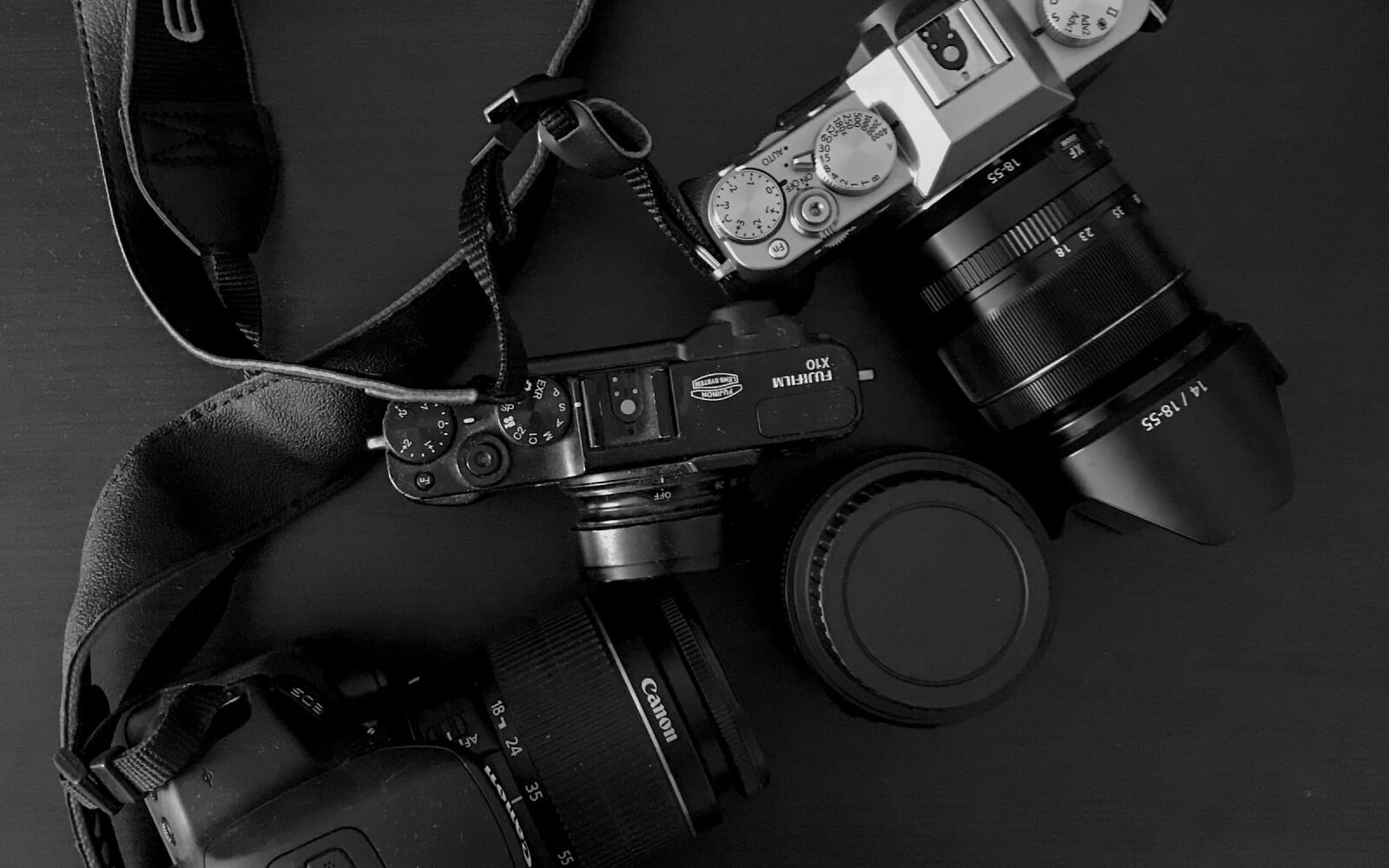 The New Canon EOS R3 Is Expected To Have A 45MP Sensor Will It Shoot 