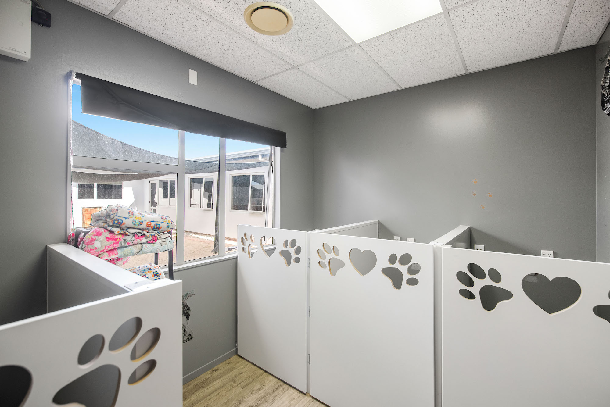 Luxury Hotel - Luxury Scandinavian Luxury Pet Hotels