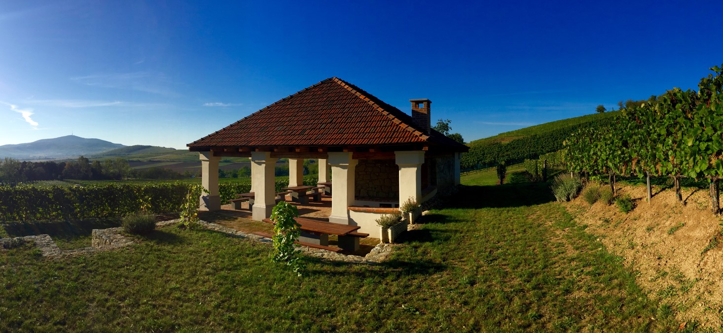 __wf_reserved_inherit