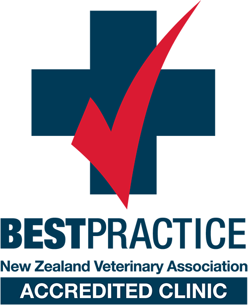 Vetora Putaruru Veterinary Clinic Information