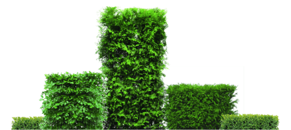 pricing background image 2