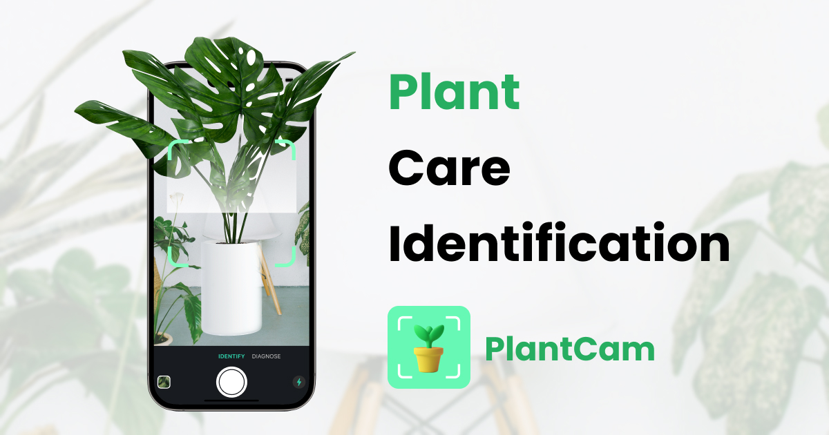 PlantCam App Plant identification, Care guides