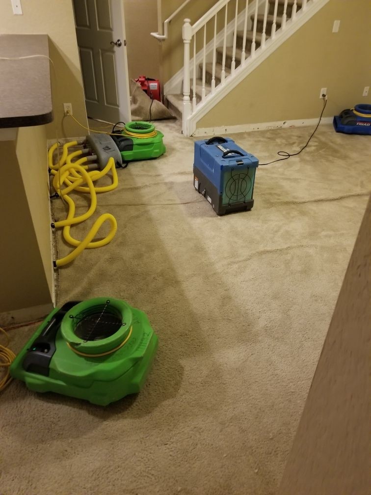 Water Extraction and Restoration All American Water Restoration