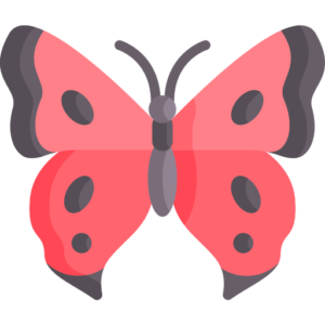butterfly image