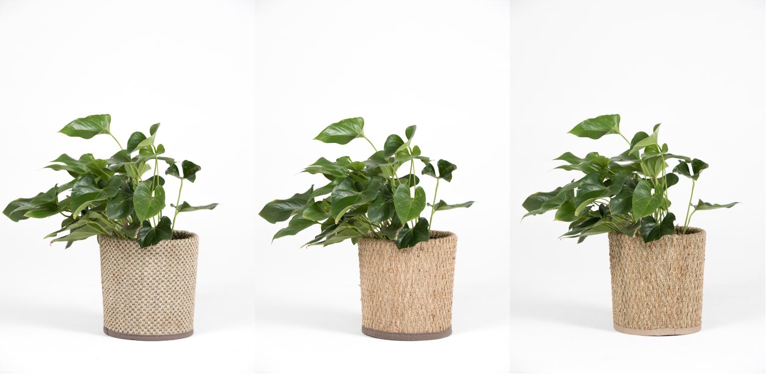 Garden decor products