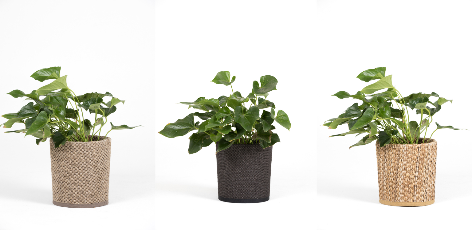 Garden decor products