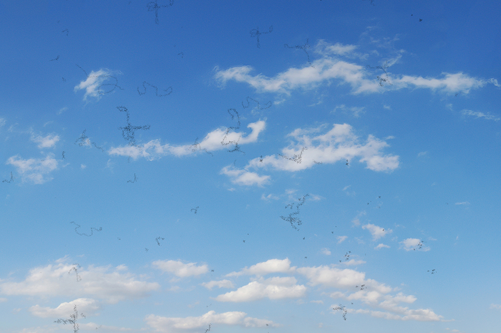 What Causes Eye Floaters? West Boca Eye Center