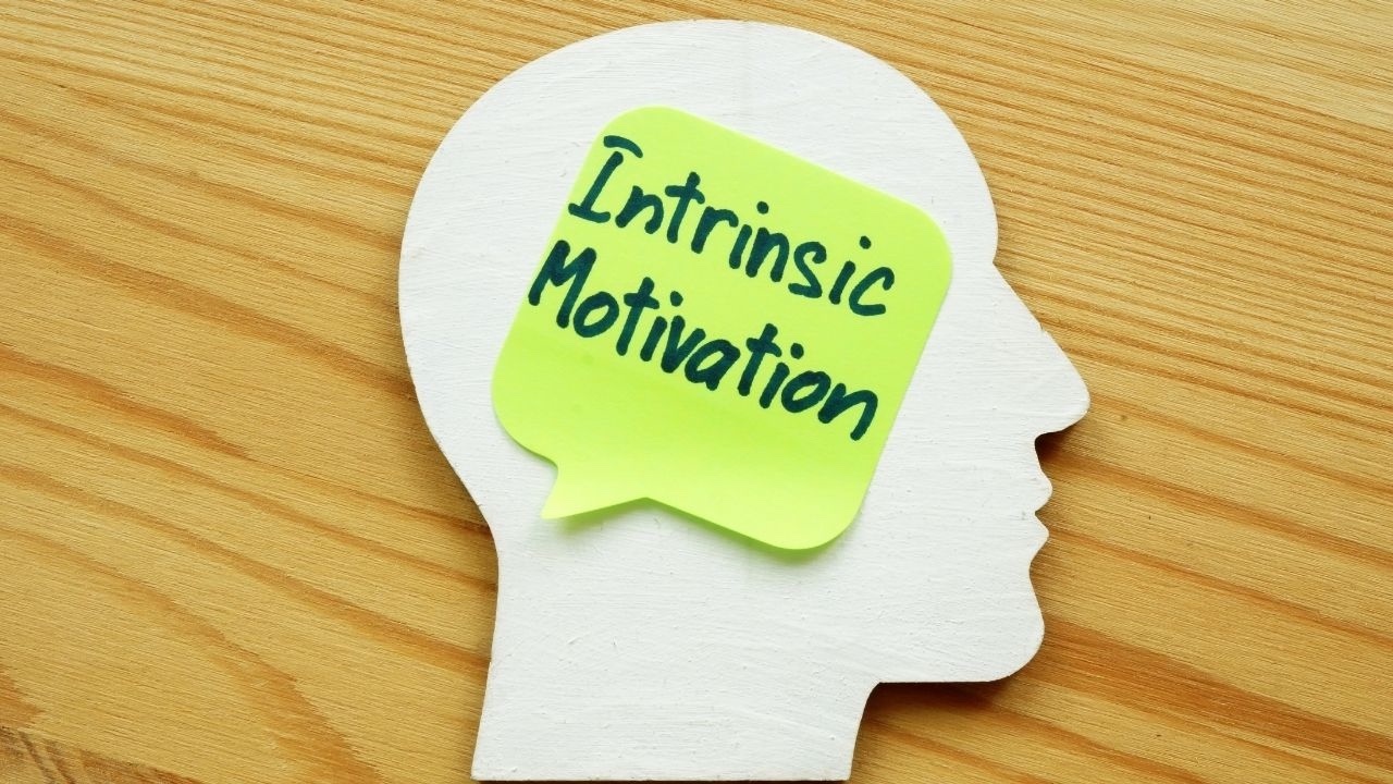 essay about intrinsic motivation to learn