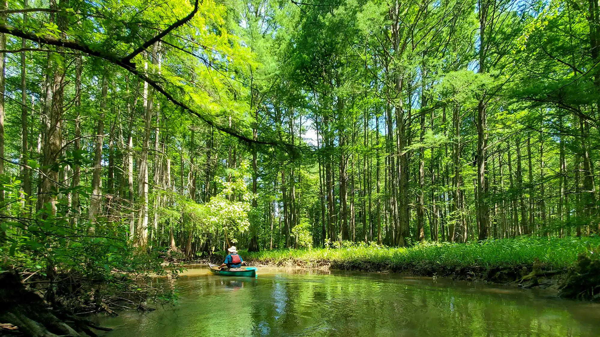 Paddling
