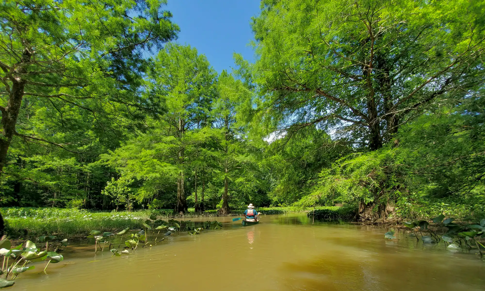 The Wolf River