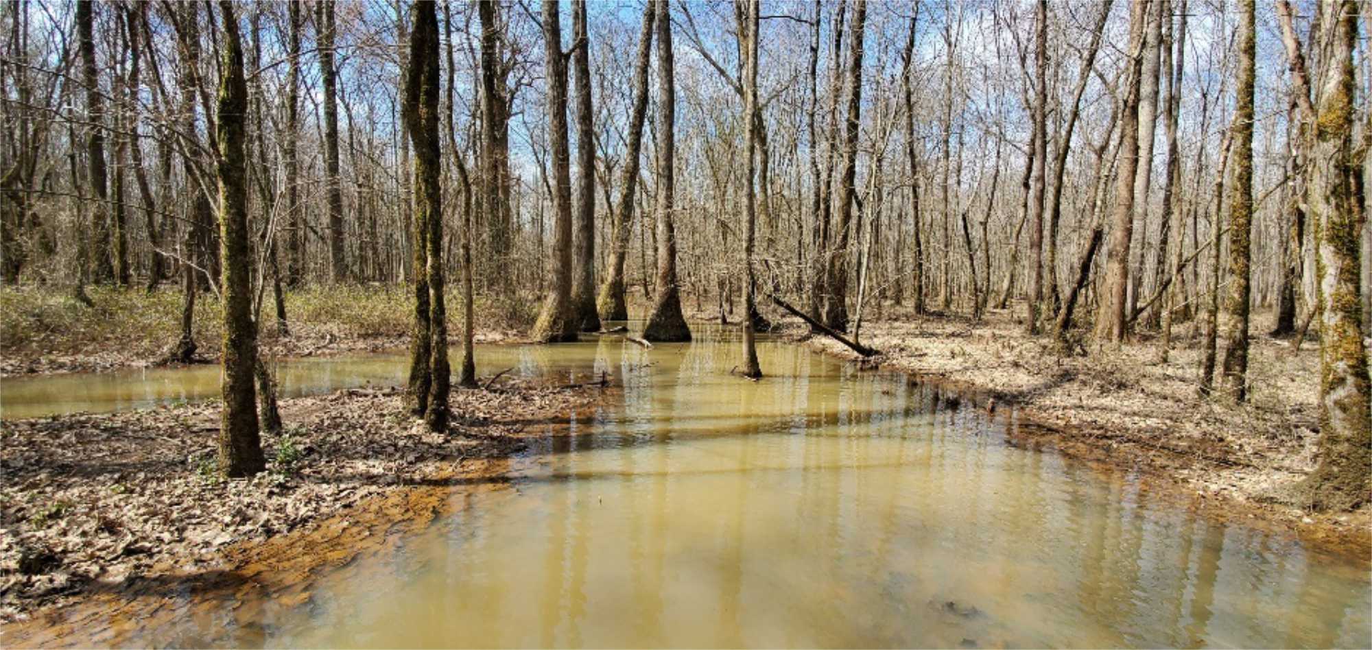 Wolf River Conservancy Awarded One Million Dollars for Conservation