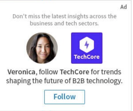 LinkedIn follower ads 