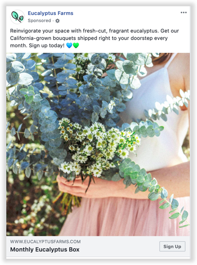 Facebook Ad from eucalyptus farms 